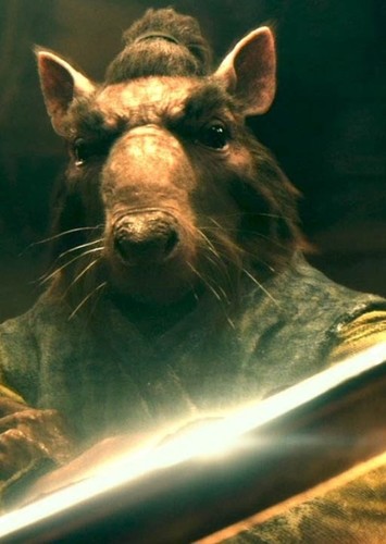 Splinter (17)