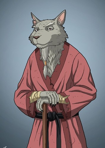 Splinter