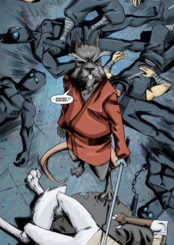 Splinter