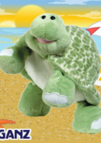 Spotted Turtle