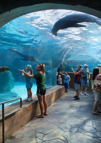 St. Louis Zoo