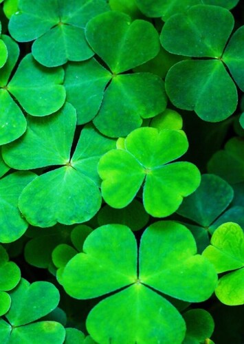 St. Pat's Day Movies