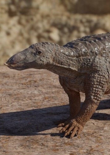 Stagonolepis