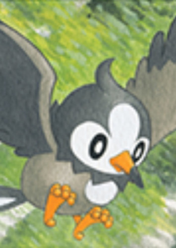 Starly (English Dub)
