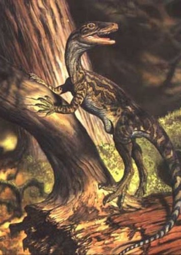 Staurikosaurus