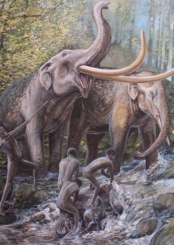 Stegodon
