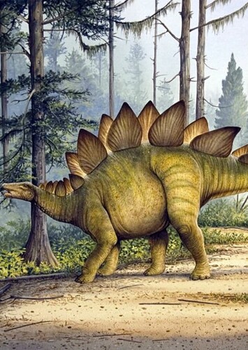 Stegosaurus