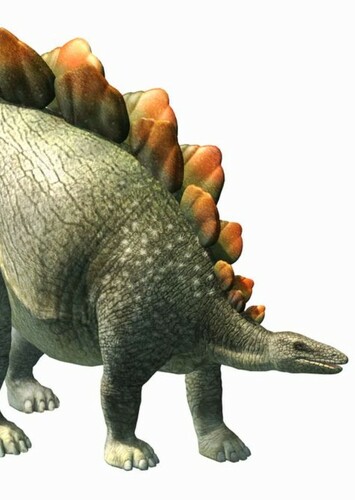 Stegosaurus