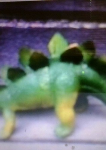 Stegosaurus's brother