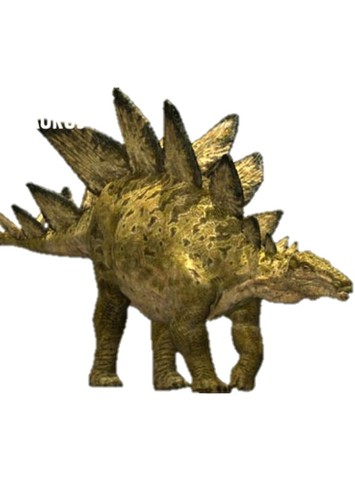 Stegosaurus who lived