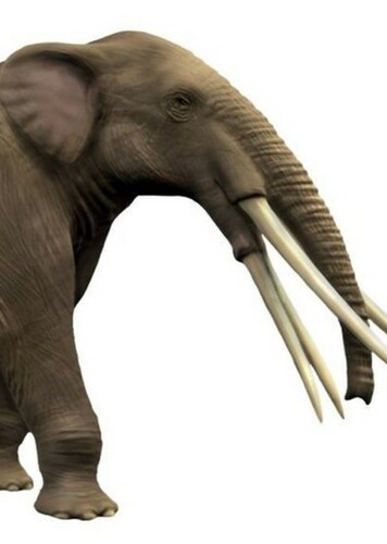 Stegotetrabelodon