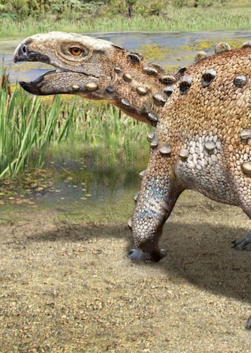 Stegouros