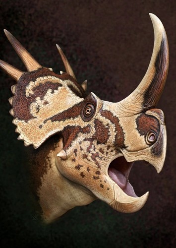 Stellasaurus