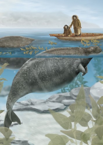 Steller’s Sea Cow
