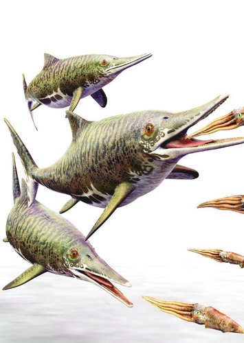 Stenopterygius