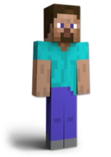 Steve