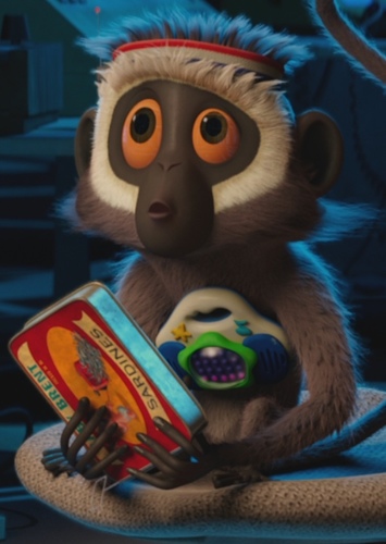 Steve
