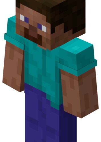 Steve