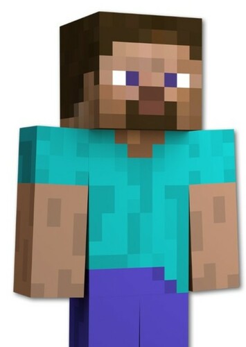 Steve