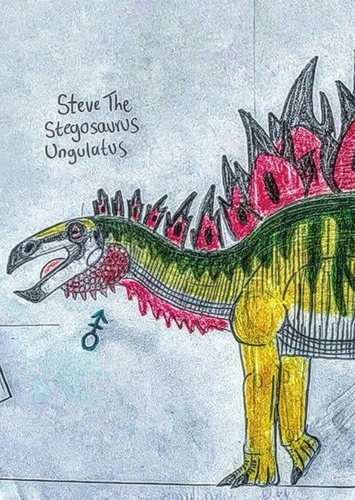 Steve
