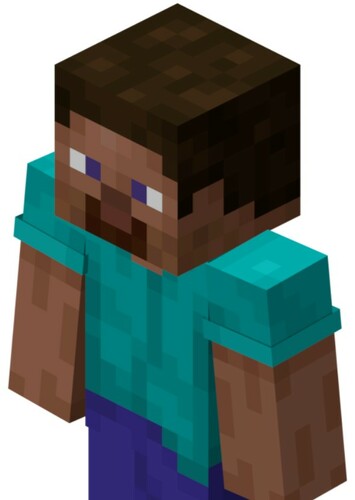 Steve
