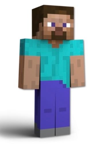 Steve