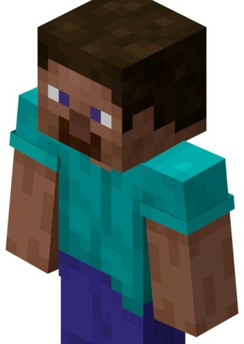 Steve