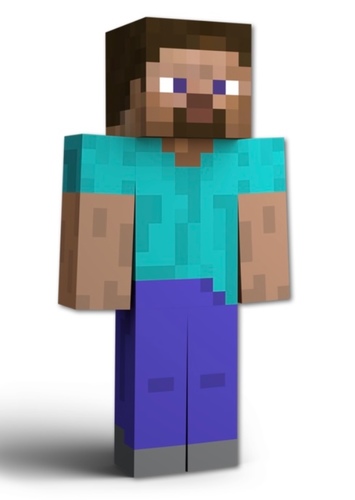 Steve