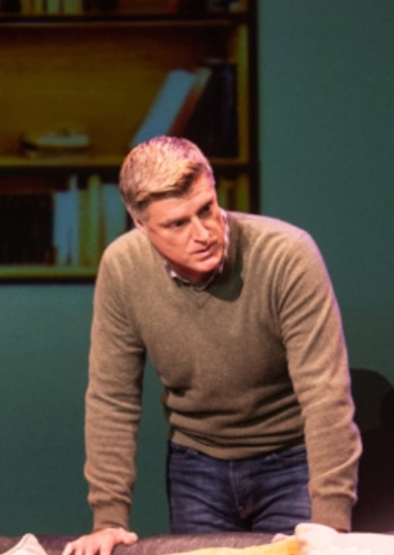 Steve Healy