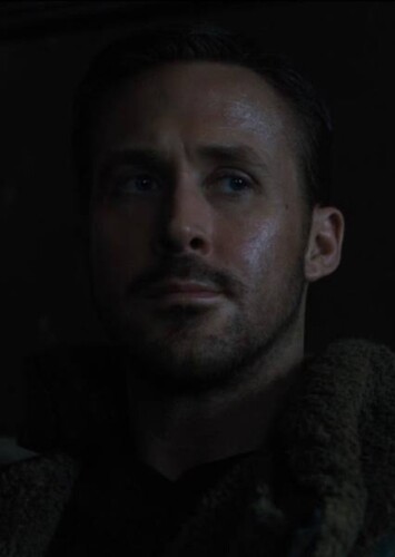 Steve Trevor