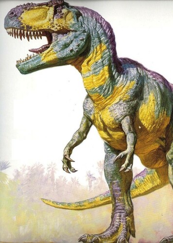 Stinktooth