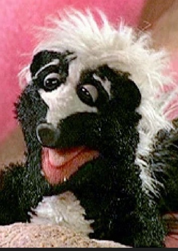 Stinky The Skunk