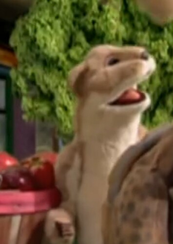 Stoat