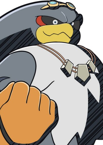 Storm The Albatross