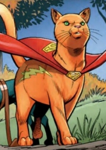 Streaky the Super-Cat