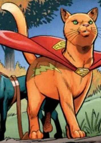 Streaky the Super-Cat