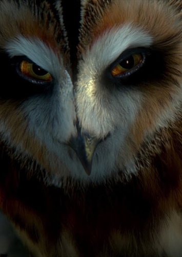 Strix Struma