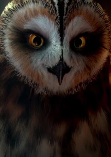 Strix Struma