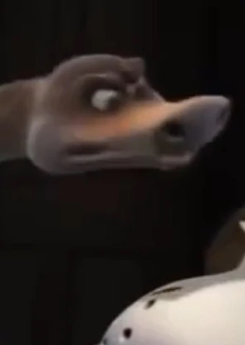 Stinky McStupid Head