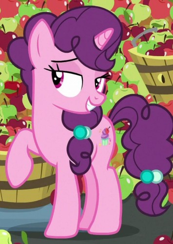 Sugar Belle