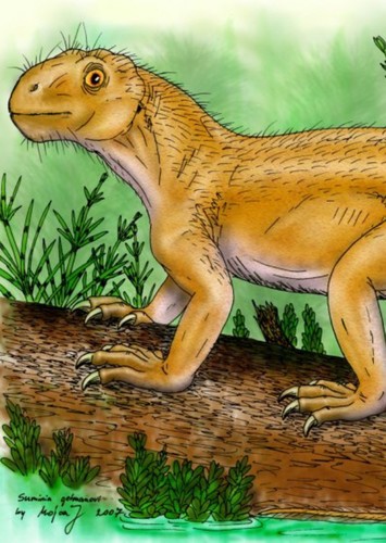 Suminia