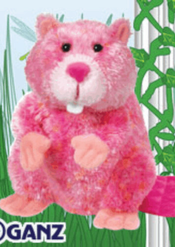 Summer Beaver