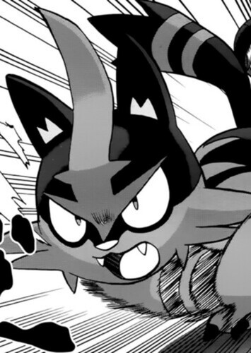 Sun's Torracat (English Dub)