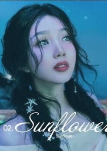 Sunflower - Red Velvet