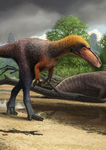 Suskityrannus