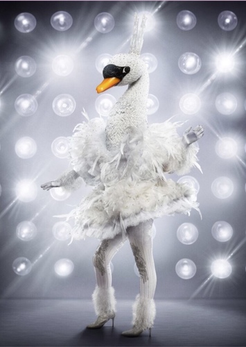 Swan