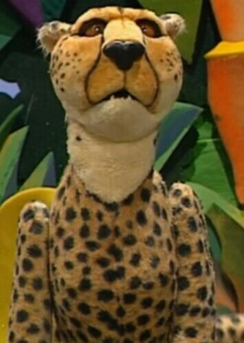 Swifty The Cheetah