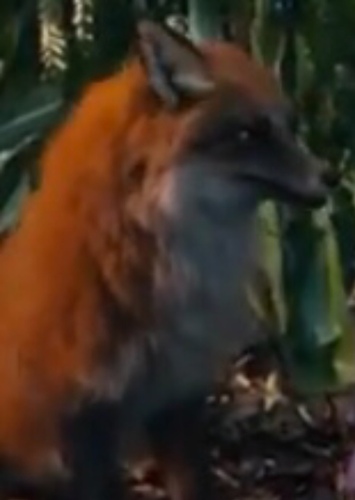 Swiper