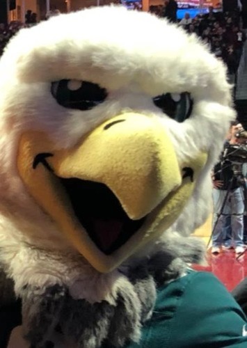 Swoop