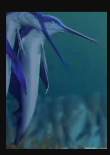 Swordfish